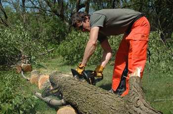 Lumberjack