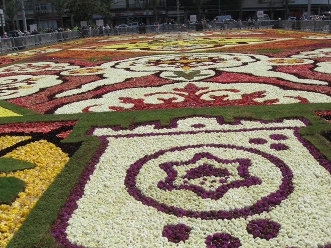 FlowerCarpetinTelAviv04