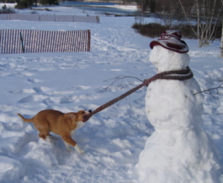 Quincy_with_Snowman