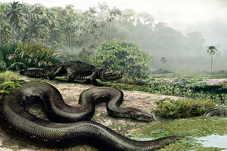 giant-snake-pictures_big