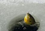 ice-fishing