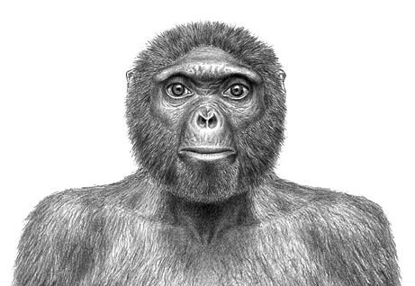 oldest-human-skeleton-ardi-missing-link-chimps-ardipithecus-ramidus_big