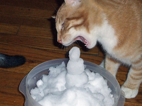 snowman-cat