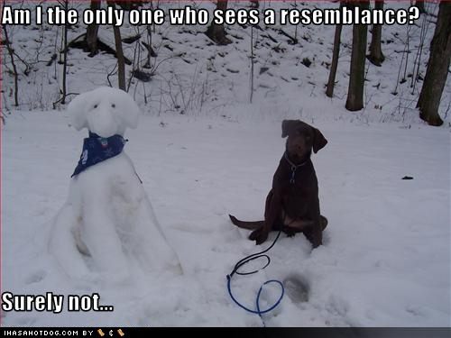snowman-looks-like-your-dog
