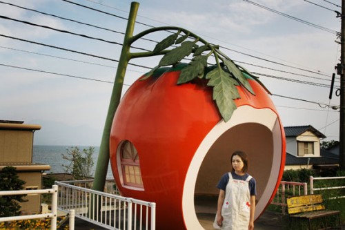 Creative and unusual bus stop designs