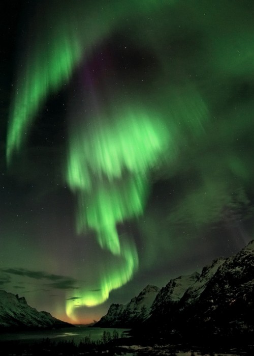 Northern Lights