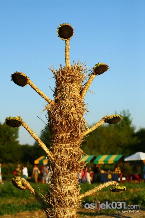 Bizarre and Entertaining Land Art Festival in Croatia