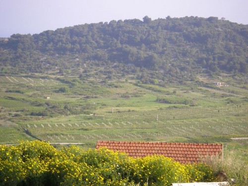 Podselje village, Plisko polje, location of airfield from WWII. Plisko polje was base of 352. (Y) R.A.F. Squadron. Location is marked with red-white columns.