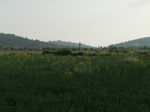 Podselje village, Plisko polje, location of airfield from WWII. 