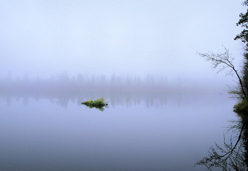 eerie swamp