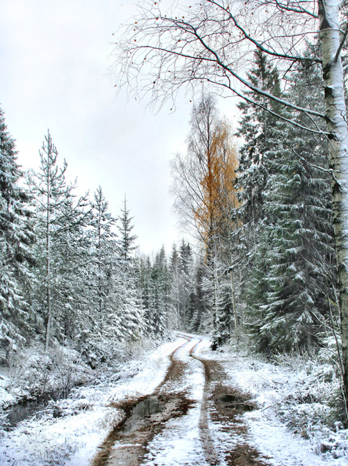 Amazing Nature Photos by Kari Liimatainen