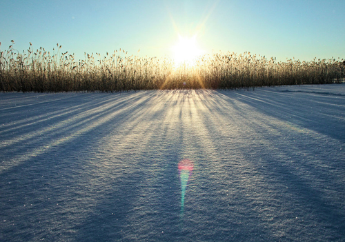 the sun's rays