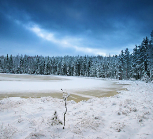 Amazing Nature Photos by Kari Liimatainen