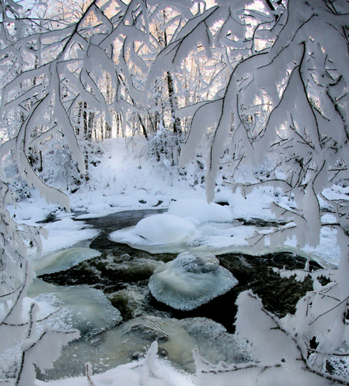 Amazing Nature Photos by Kari Liimatainen