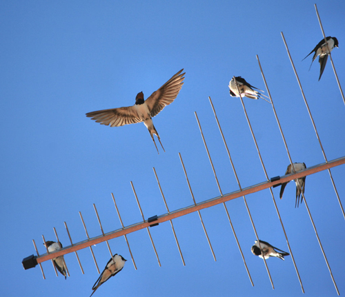 Amazing Nature Photos by Kari Liimatainen