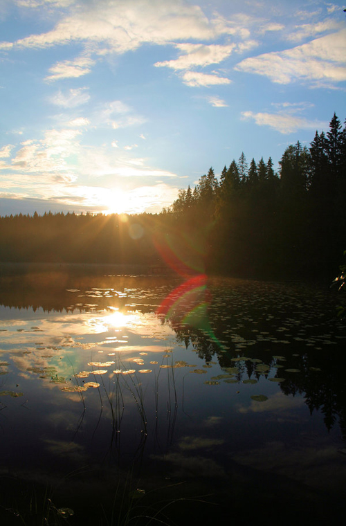 Amazing Nature Photos by Kari Liimatainen