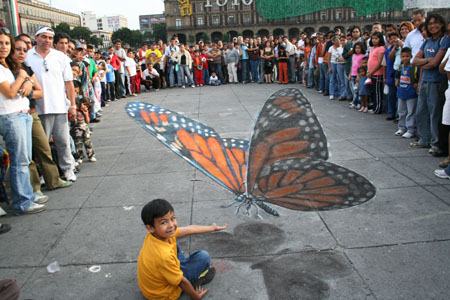 illusions in art. butterflygd 3D Illusion Street