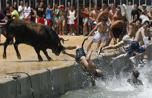 Bulls in Denia makes grown men jump in the water