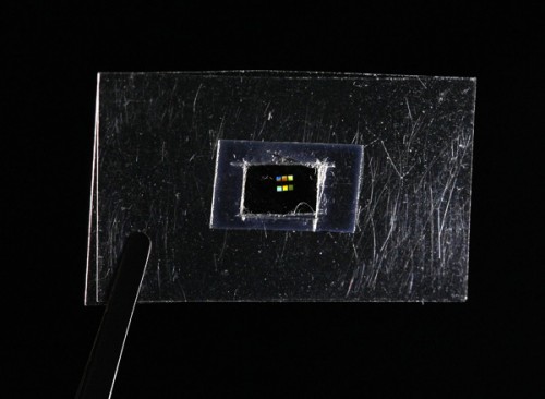 metaflex01 Scientists create 'invisible' material
