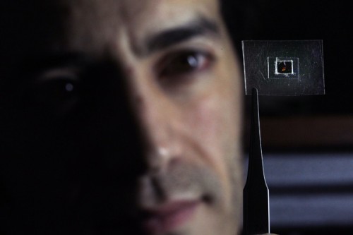 metaflex03 Scientists create 'invisible' material