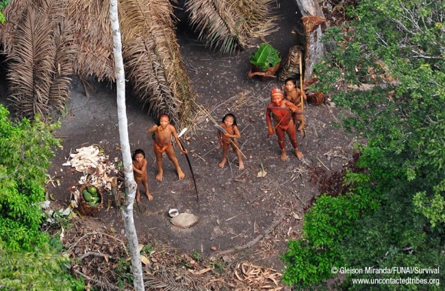 Breathtaking photos of one of the world's last uncontacted tribes 