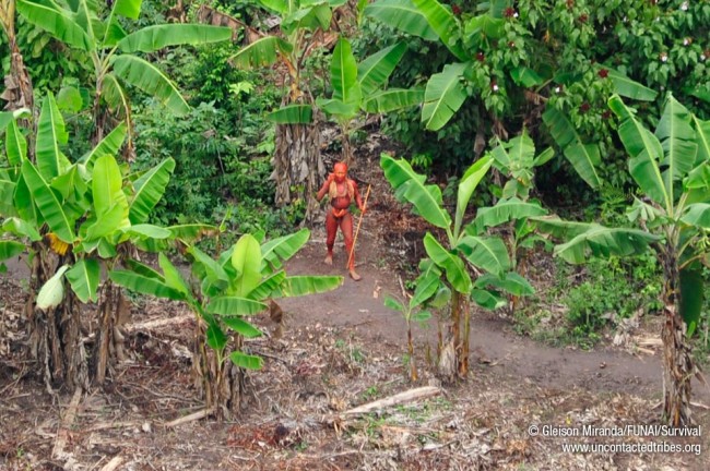 Breathtaking photos of one of the world's last uncontacted tribes 