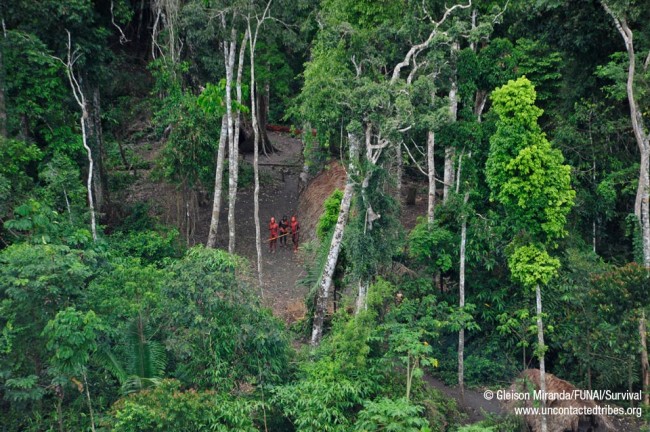 last uncontacted tribes04 650x432 breathtaking photos of one of 
the worlds last uncontacted tribes