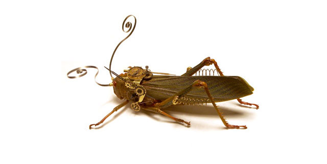 Steampunk Bugs - Half Insect, Half Metal