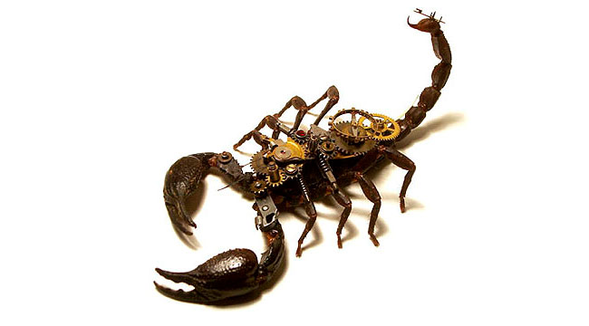 Steampunk Bugs - Half Insect, Half Metal