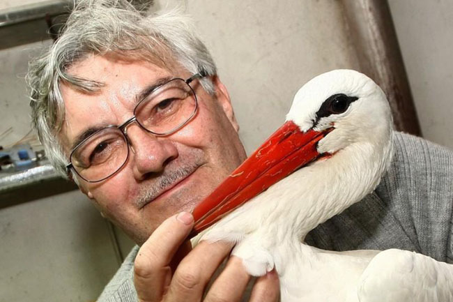 The Incredible Love Story Of Two Storks Malena And Klepetan