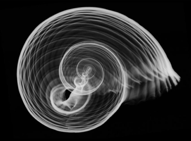 X-Ray Photography - Look Beyond The Surface