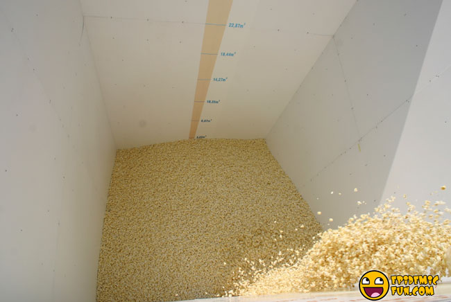 The Biggest Popcorn Box In The World