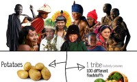 The Original Scientists - Tribal Peoples Contributions to Humanity [Infographic]