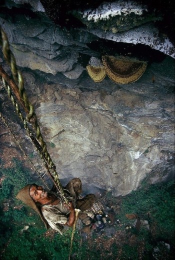 Nepal's honey hunters on Himalayan cliff