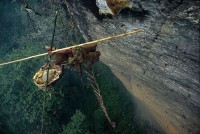 Nepal's honey hunters on Himalayan cliff