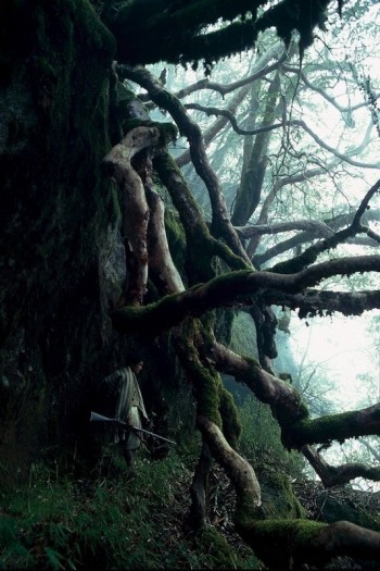 Nepal's honey hunters on Himalayan cliff