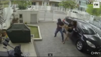 Malaysian Woman Fights Snatch Thief