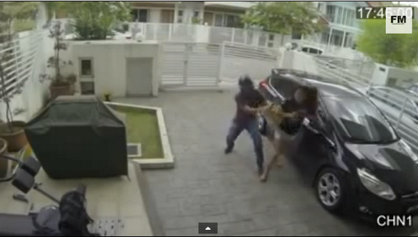 Malaysian Woman Fights Snatch Thief