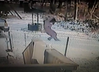 Cat attacks woman in the snow