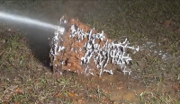 Casting a Fire Ant Colony with Molten Aluminum