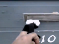 Mailman Battles Angry Cat While Attempting to Deliver Mail