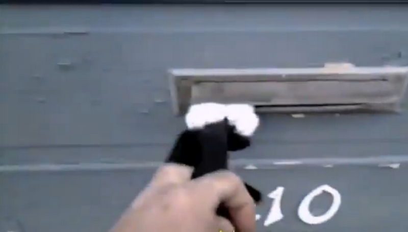 Mailman Battles Angry Cat While Attempting to Deliver Mail