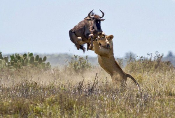 The World's Most Stunning Images From 2013