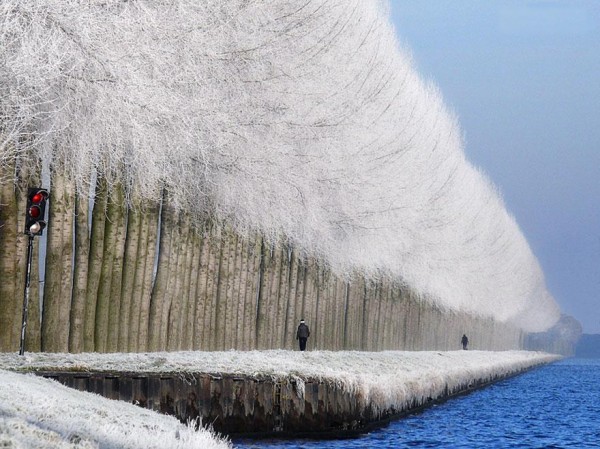 The World's Most Stunning Images From 2013