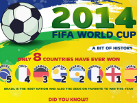 2014 FIFA World Cup Infographic