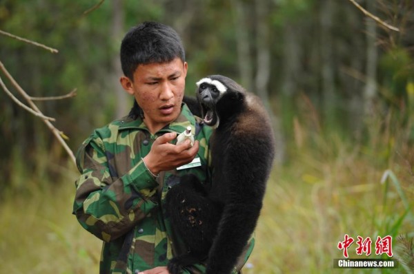 Funny photos of wild animals in China