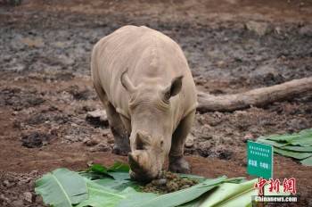 Funny photos of wild animals in China