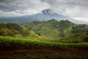 Unique Things to Do in Rwanda