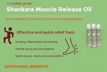 Complete Guide on Shankara Muscle Release Oil [Infographic]