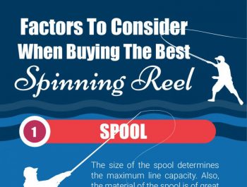 Factors To Consider When Buying The Best Spinning Reel [Infographic]